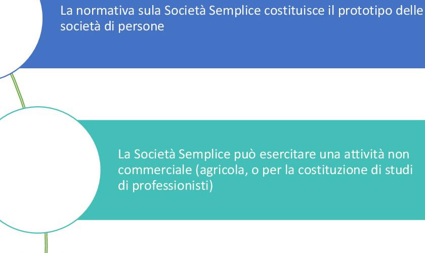 schede didattiche su Societ Semplice - Aspetti generali.