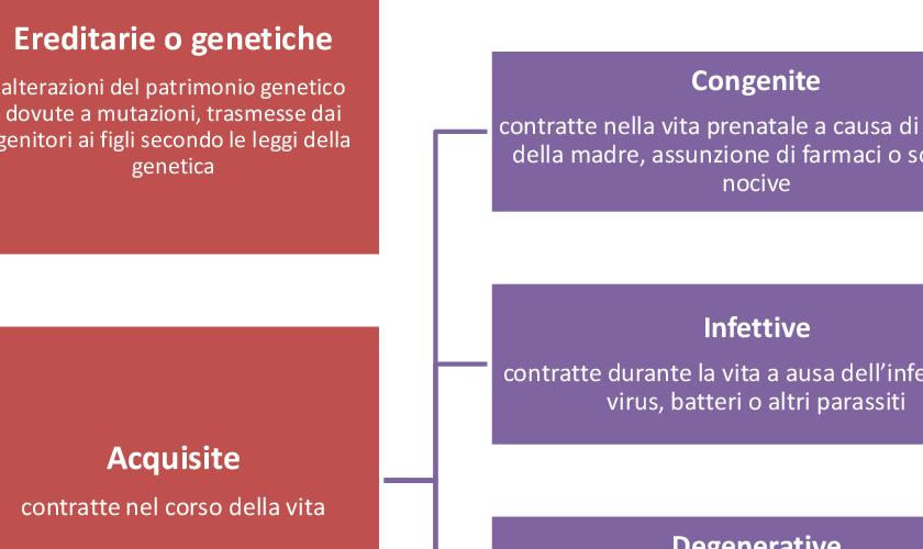 schede didattiche su Classificazione delle malattie.