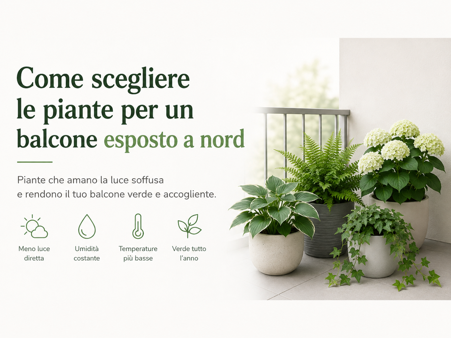 Come scegliere le piante per un balcone esposto a nord