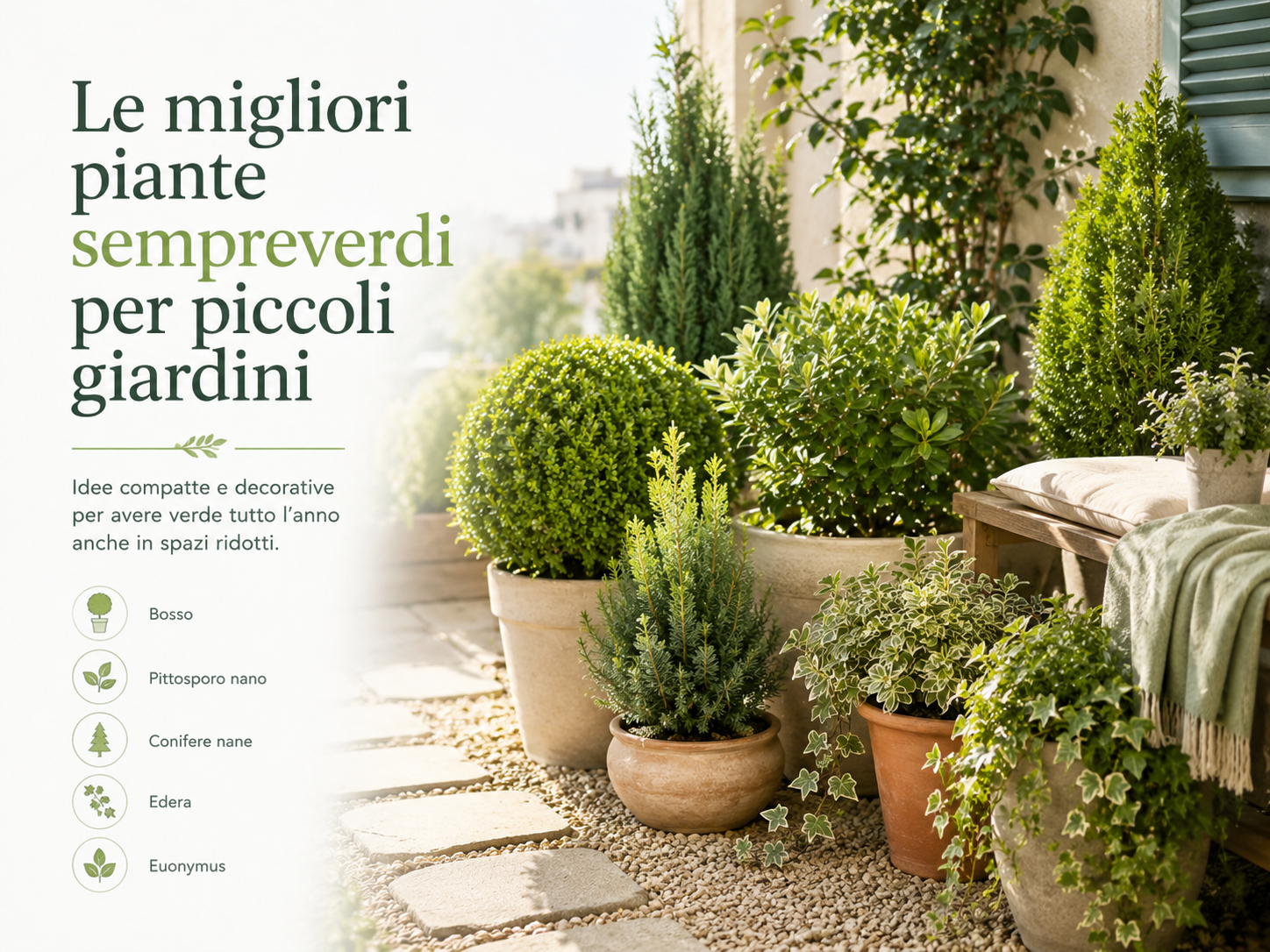 Le migliori piante sempreverdi per piccoli giardini